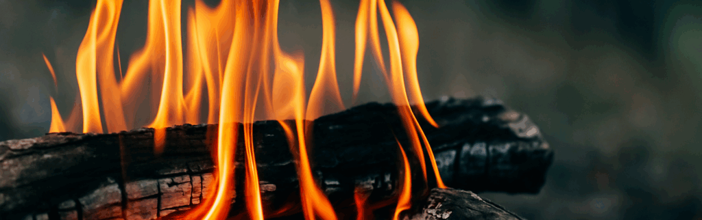 8 The Inflamed Empath