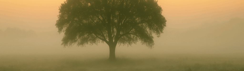 Heart-Heavy Protector